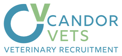 Candor Vets — Veterinary Recruitment